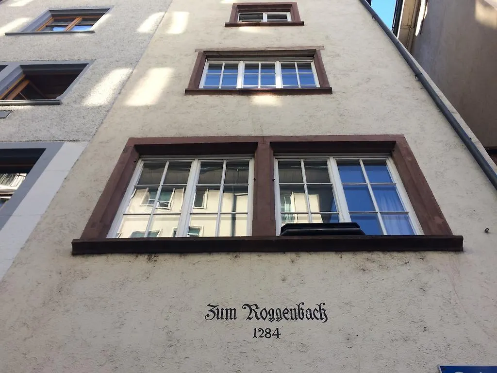 In Swiss Home - Rathaus From 1284 Historical Apartment Basilej