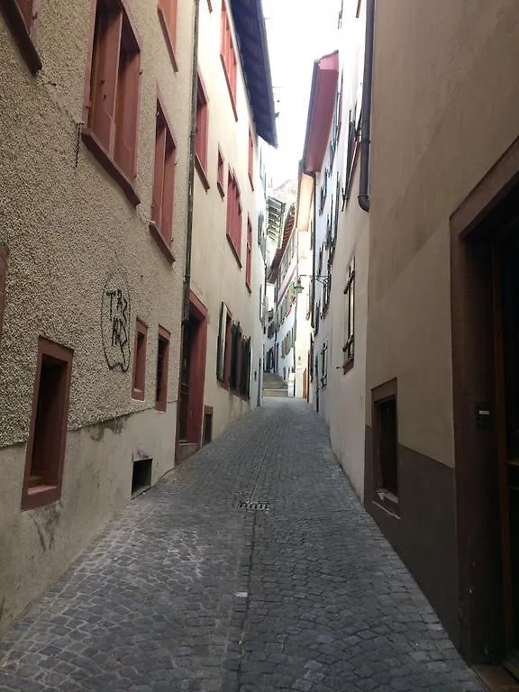 In Swiss Home - Rathaus From 1284 Historical Apartment Basel