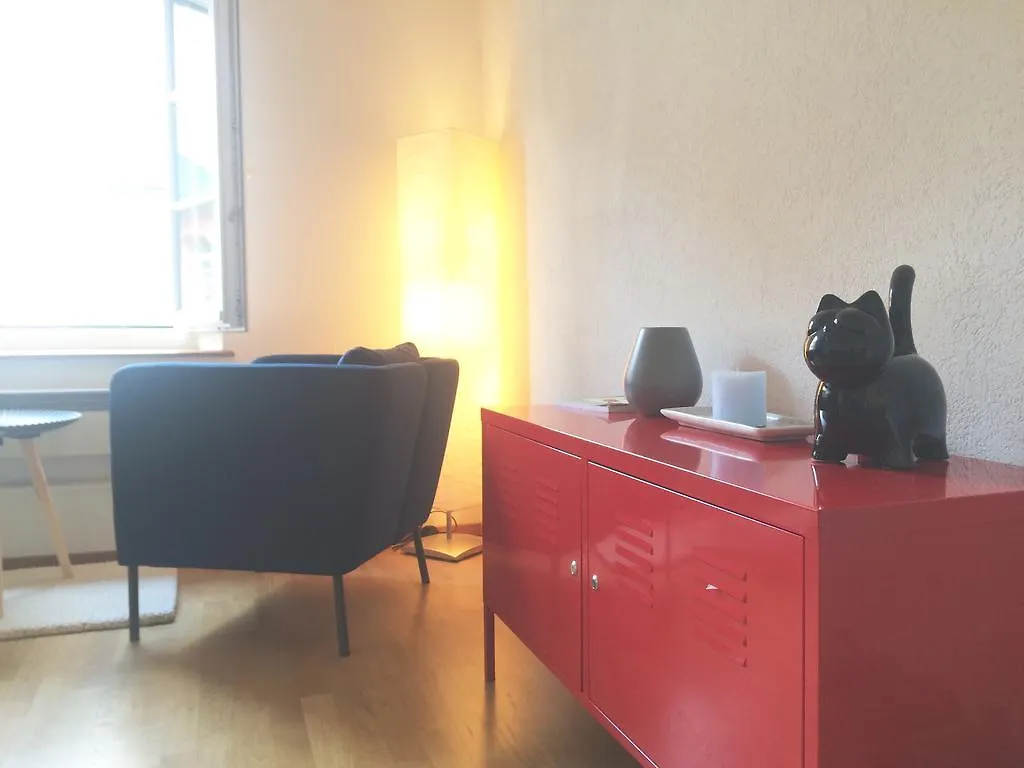 In Swiss Home - Rathaus From 1284 Historical Apartment Basel