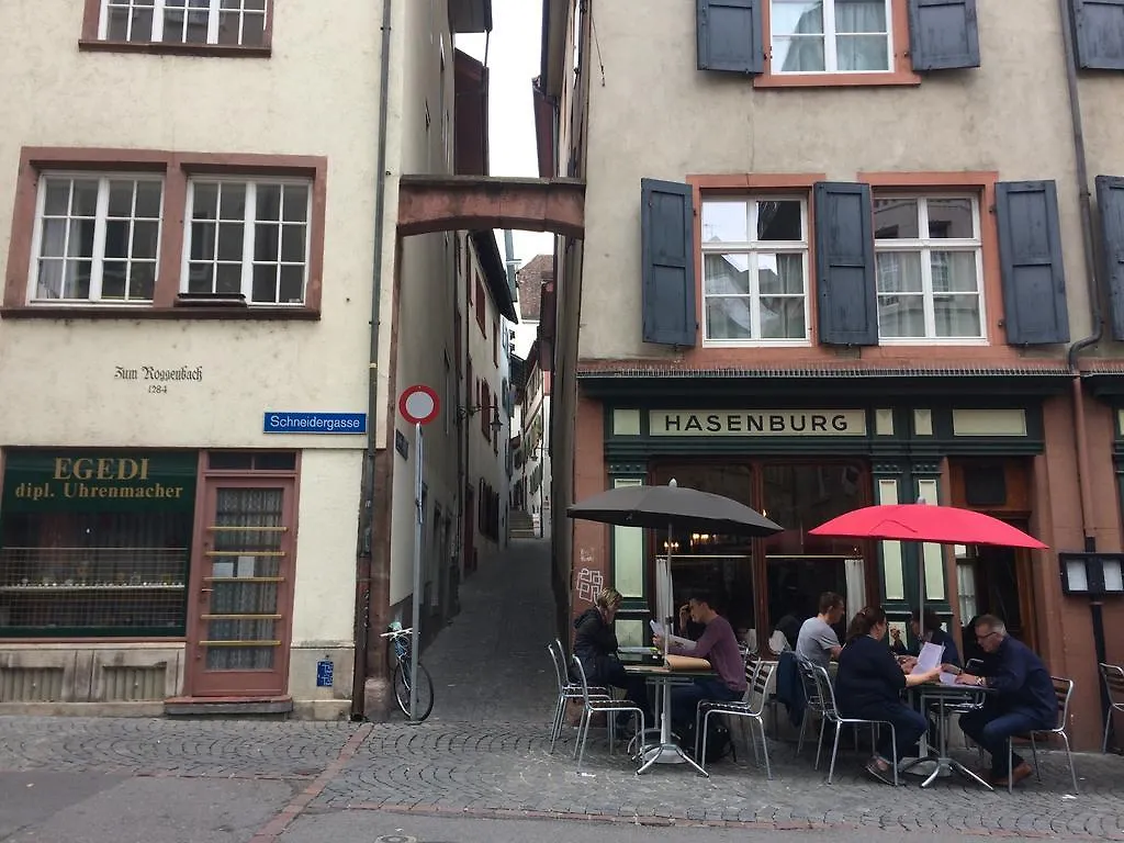 In Swiss Home - Rathaus From 1284 Historical Apartment Basel
